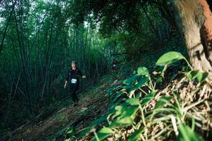 BIB: 
                            <button type="button" onclick="openModal(28124196)" class="btn btn-primary btn-sm float-right btn-popup" data-toggle="modal" data-target=".modal-high-quality">
                        <i class="fas fa-shopping-cart"></i> Add to Cart
                    </button>
                                            <button type="button" onclick="isThisMe(28124196, true)" class="btn btn-success btn-sm float-right btn-popup btn-isme hidden" data-toggle="tooltip" data-placement="bottom" title="นี่คือรูปของคุณใช่ไหม คลิกที่นี่เพื่อเอาเข้าอัลบั้ม">
                        <i class="fas fa-plus"></i> Add to album
                    </button>
                    <button type="button" onclick="isThisMe(28124196, false)" class="btn btn-warning btn-sm float-right btn-popup btn-isnotme hidden">
                        <i class="fas fa-ban"></i> Remove from album
                    </button>